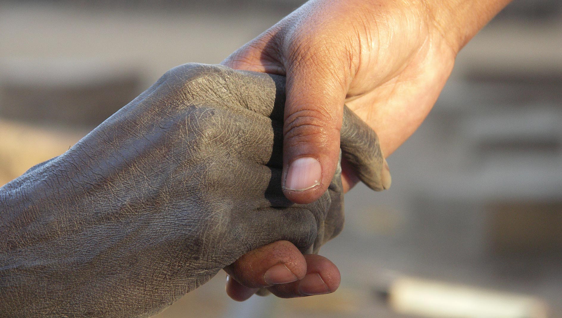 Giocare a risiko sulla pelle dei migranti