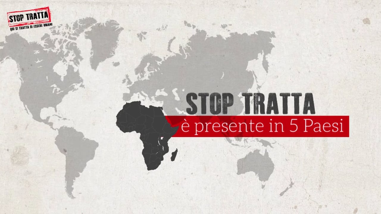 Il bilancio di Stop Tratta