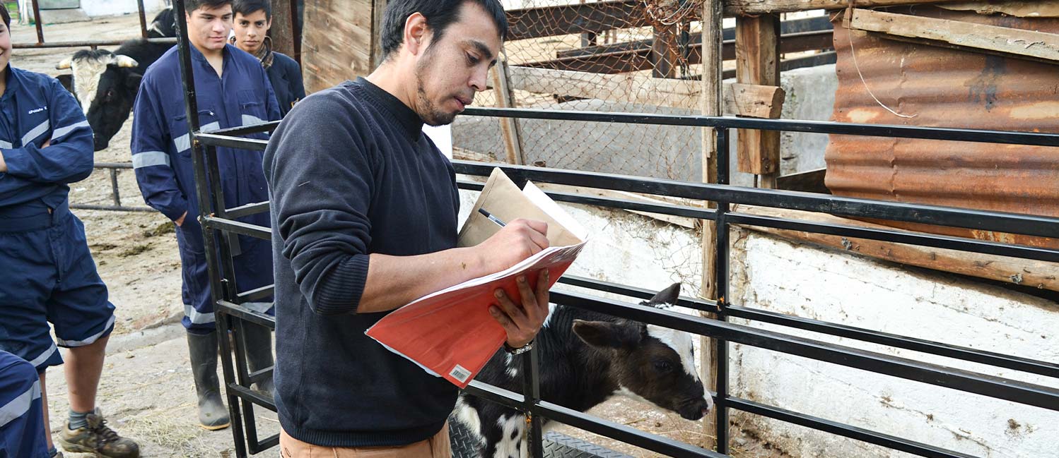 Un ragazzo nella scuola agraria di Catemu